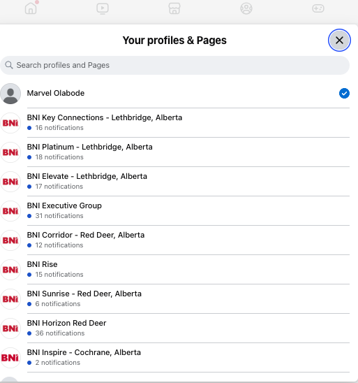 BNI Alberta South – Facebook Community Management & Event Promotion